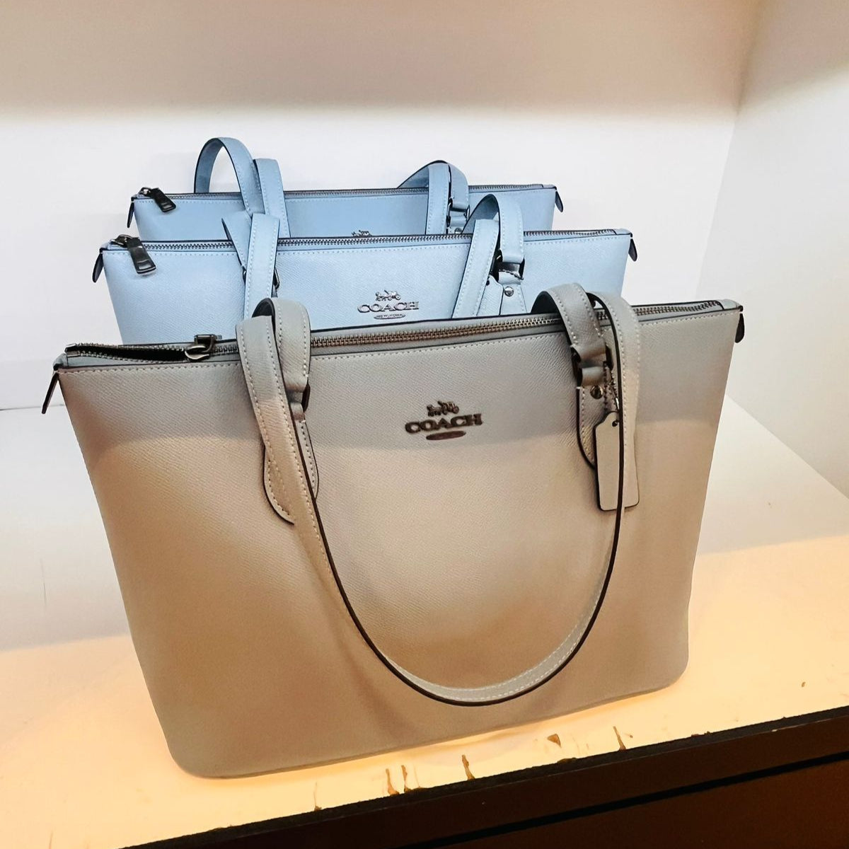 Gallery Tote Bag *PREVENTA*